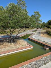 PXL 20250717 153200330